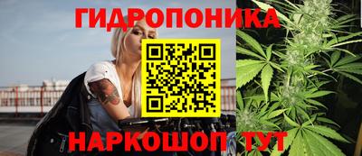крисы Чебоксары
