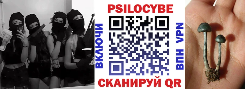 Псилоцибиновые грибы GOLDEN TEACHER  наркотики  Нальчик 