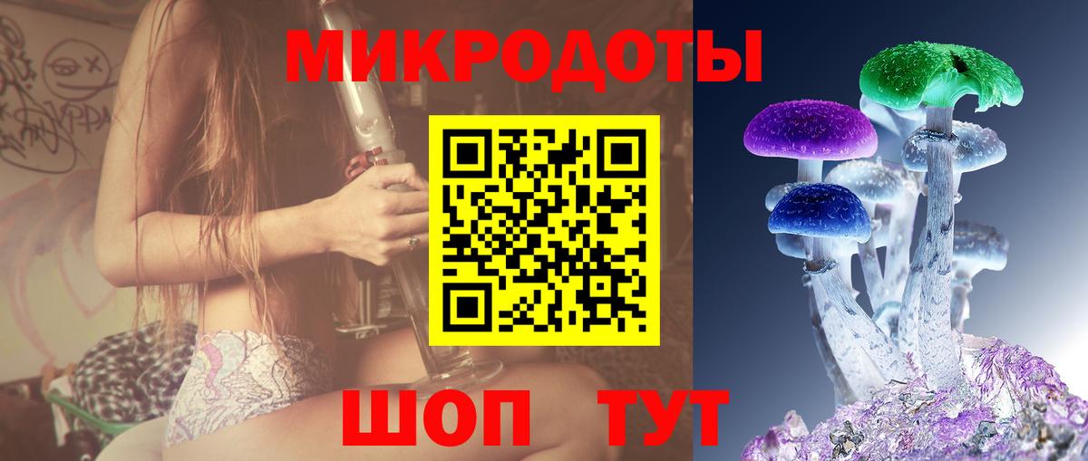 Галлюциногенные грибы Psilocybe  Вход с VPN  Нальчик 
